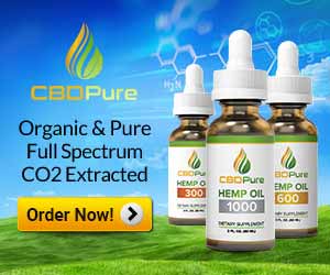 CBD Pure Hemp Oil 300